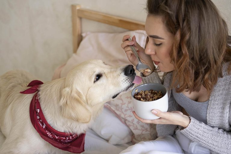 Cómo Realizar un Cambio de Dieta para Perros de Forma Segura